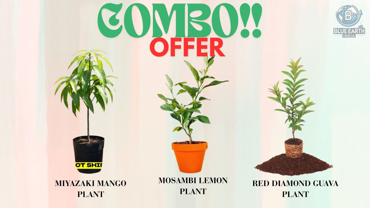 Blueeath India promo