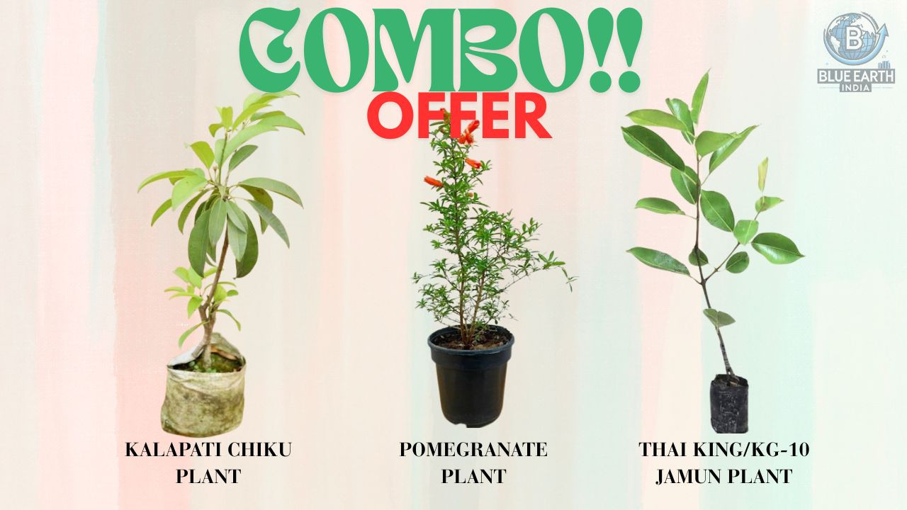 Blueeath India promo