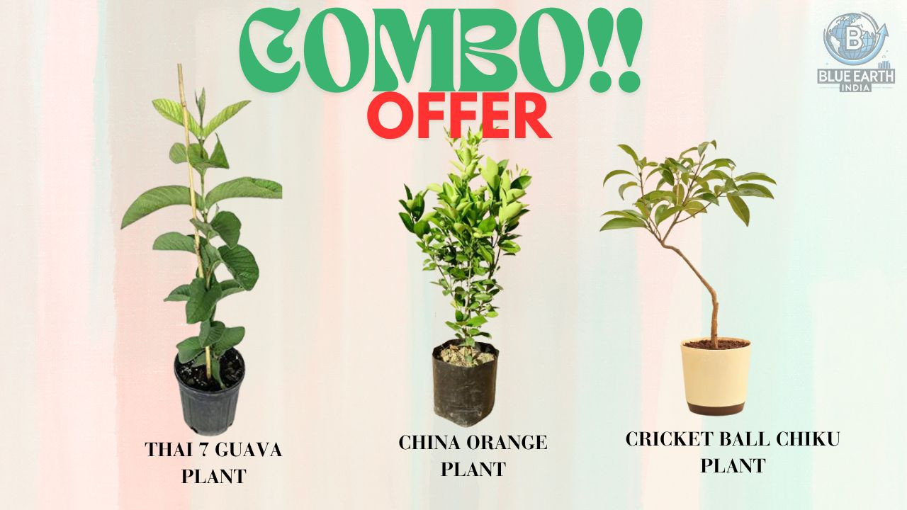 Blueeath India promo